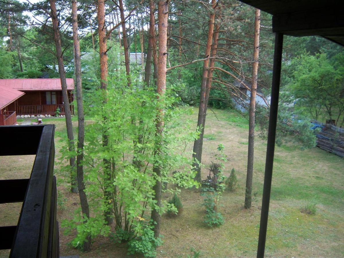 Forest Villa Susiec Экстерьер фото