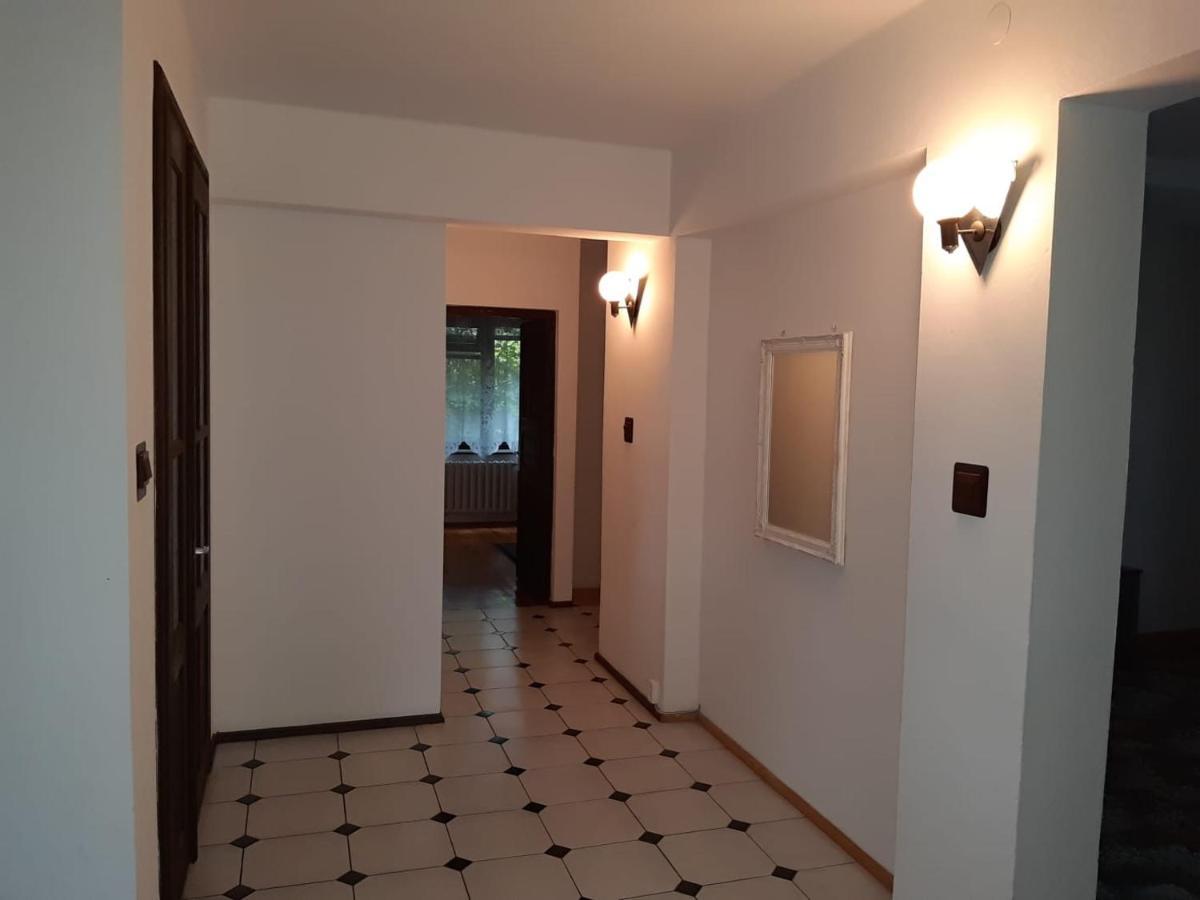 Forest Villa Susiec Экстерьер фото
