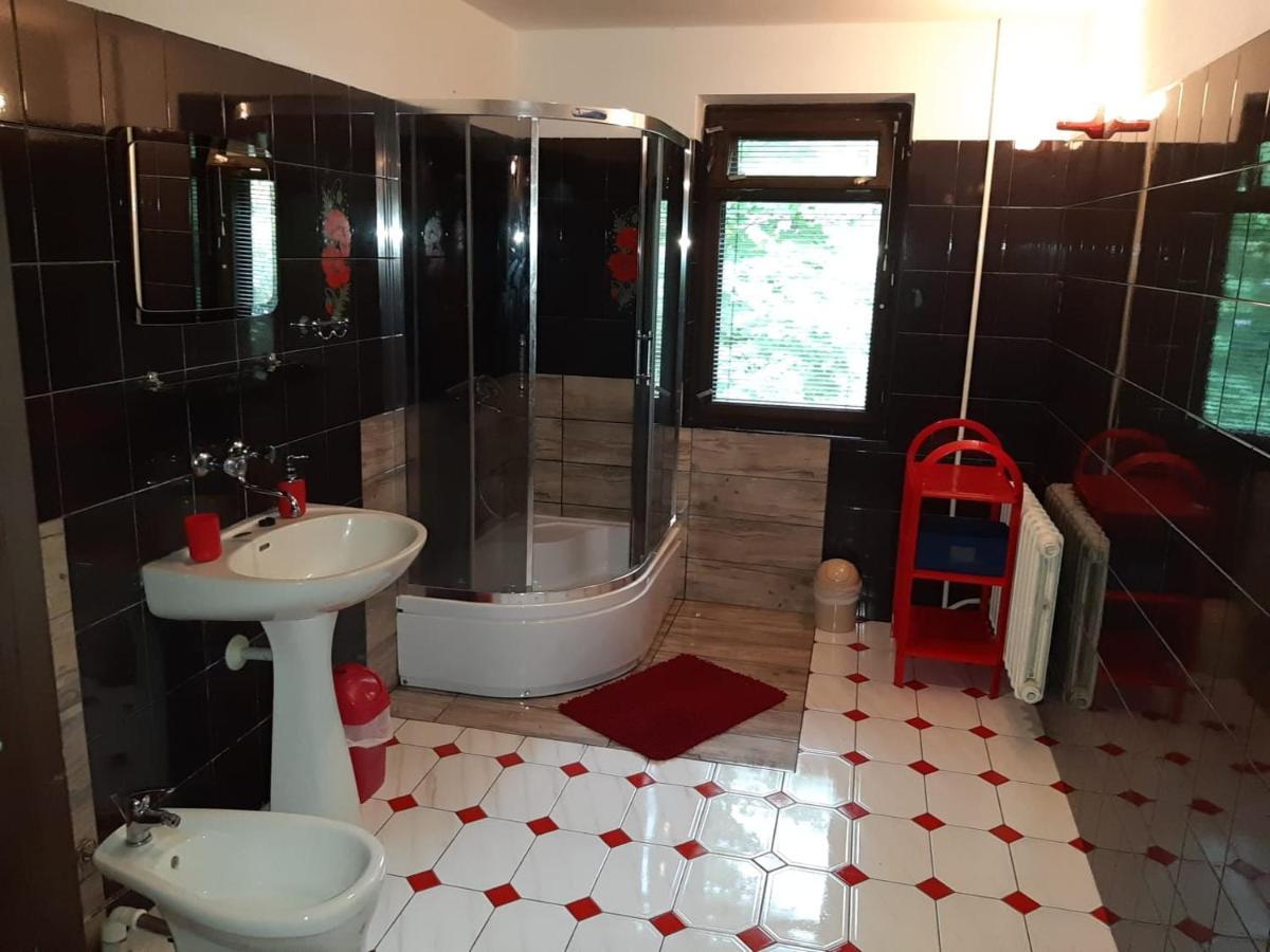 Forest Villa Susiec Экстерьер фото
